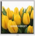 /album/photo-gallery-canvas-uri/decoratiuni-de-perete-canvas-lc-0368-jpg/